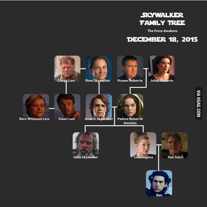 Skywalker Family Tree.jpg